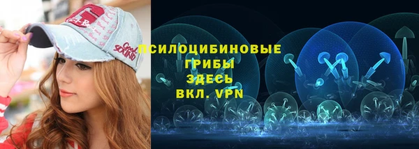 шишки Горняк