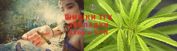 шишки Горняк