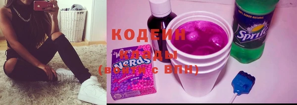 шишки Горняк