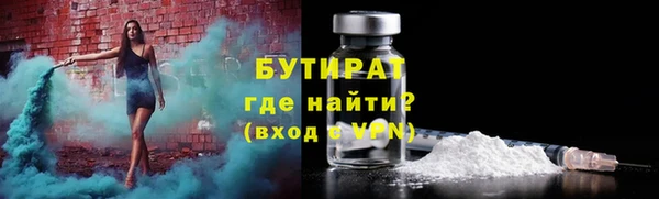 шишки Горняк
