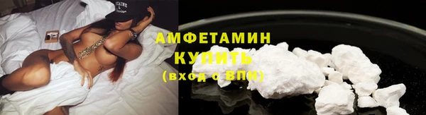 шишки Горняк