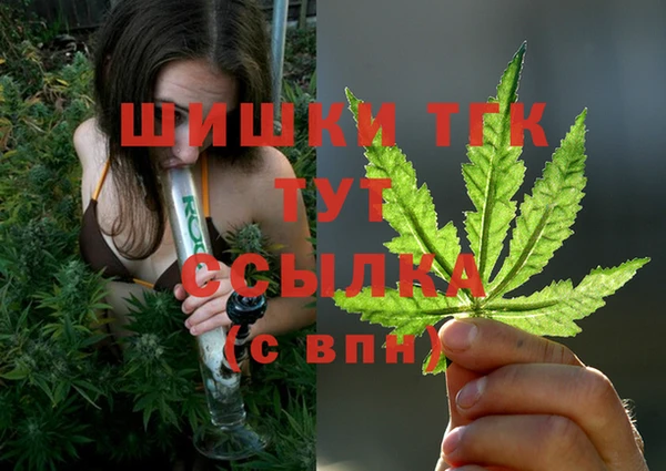 шишки Горняк