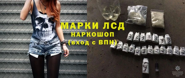 шишки Горняк