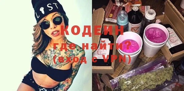 шишки Горняк