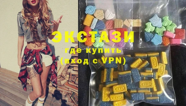 шишки Горняк