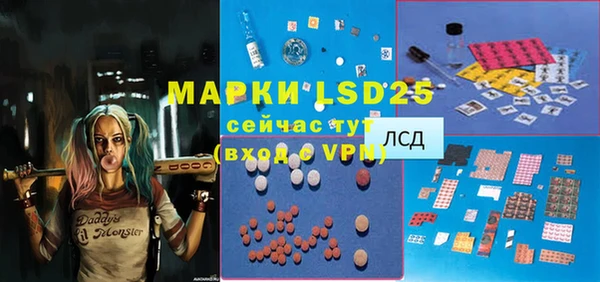 шишки Горняк