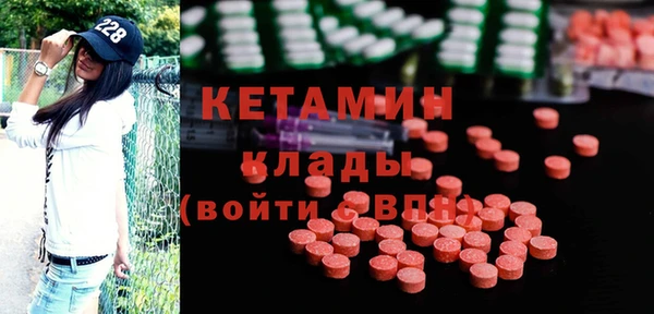 шишки Горняк