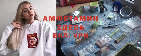шишки Горняк