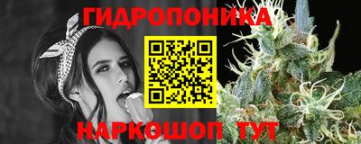 jwh Будённовск