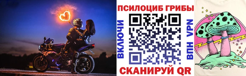 Галлюциногенные грибы Psilocybe Дальнереченск