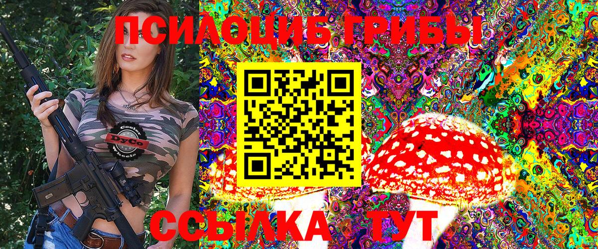 Псилоцибиновые грибы MAGIC MUSHROOMS  Псилоцибиновые грибы прущие грибы  купить   Вход с VPN  Дальнереченск 