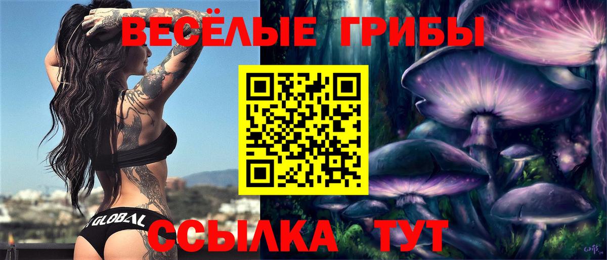 Псилоцибиновые грибы прущие грибы Дальнереченск