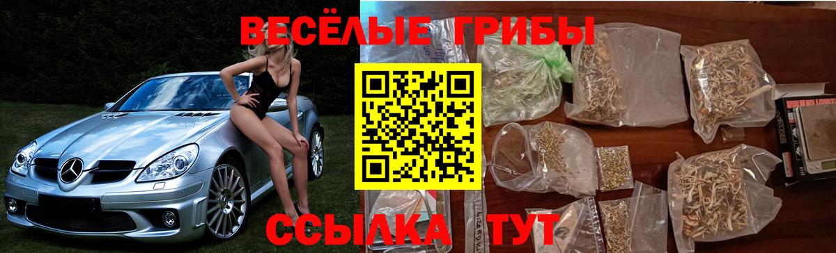 Галлюциногенные грибы прущие грибы Дальнереченск