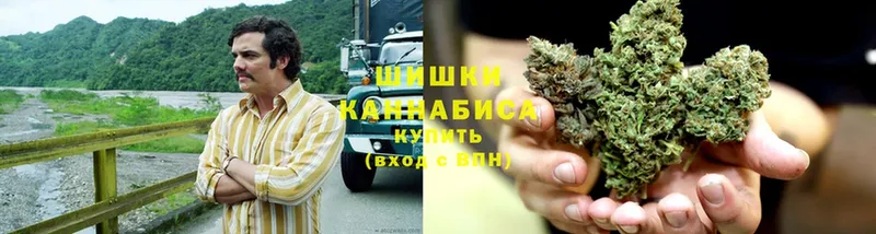 Конопля White Widow  даркнет сайт  Дальнереченск 